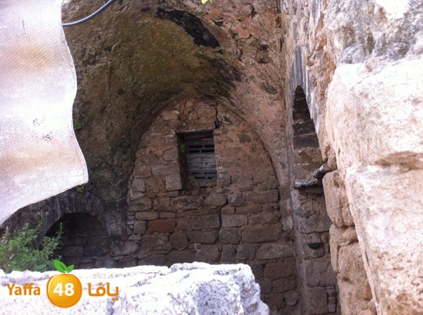 majdal3asqlan519 (8).JPG